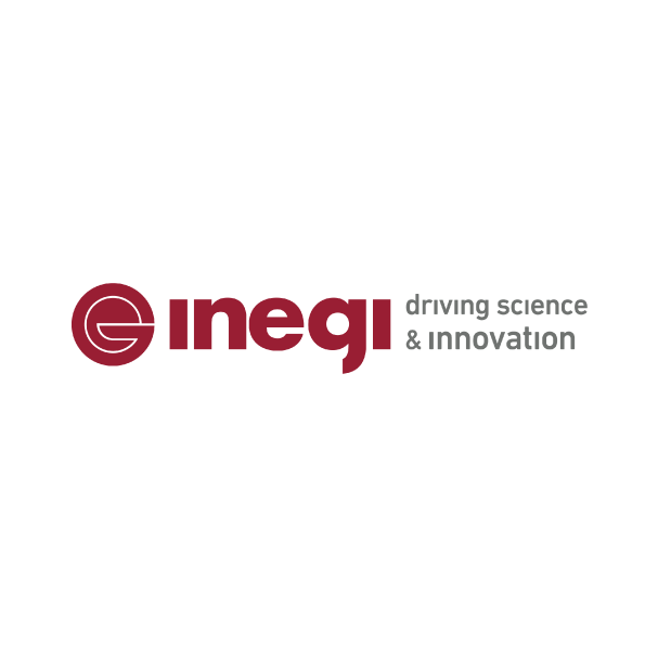 INEGI – Instituto de Ciência e Inovação em Engenharia Mecânica e Engenharia Industrial