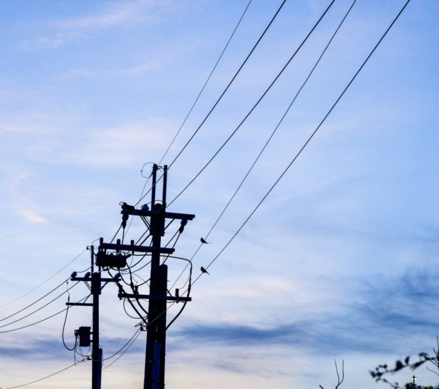 telephone, pole, poles, power, electric, lines, wires, wire, background, cable, wooden, street, line, utility, white, silhouette, electrical, technology, urban, industrial, network, phone, voltage, sky, birds, blue
